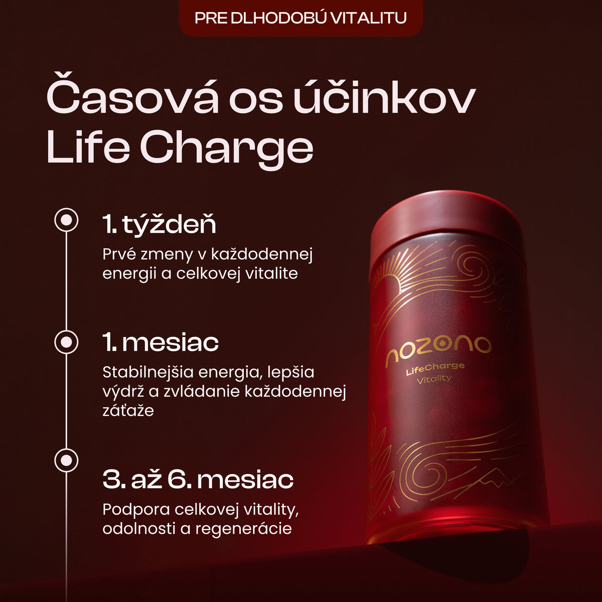 LifeCharge