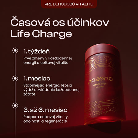 LifeCharge