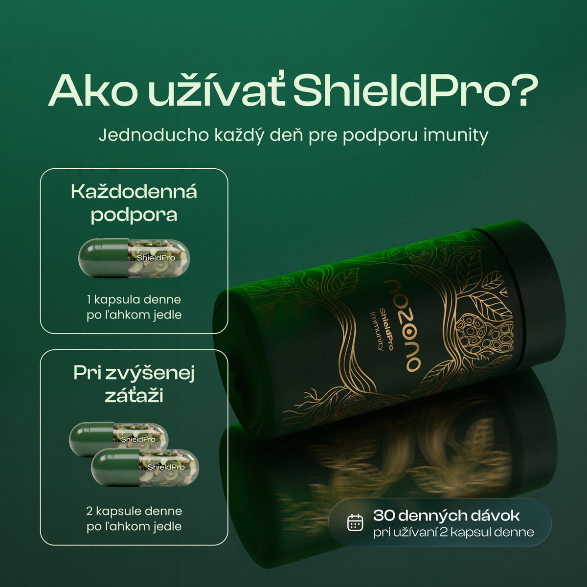 ShieldPro