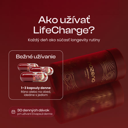 LifeCharge
