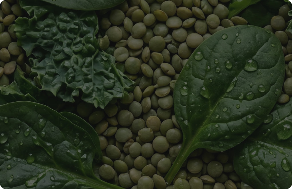 Vitamín B9